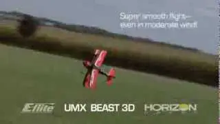 E-flite UMX Beast 3D