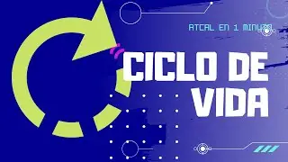 ETAPAS DEL CICLO DE VIDA DE UN PRODUCTO | En un minuto