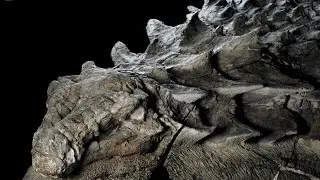 110 million-year-old dinosaur fossil so well preserved it looks like a STATUE