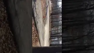 Campsite C6 Lakeview AR