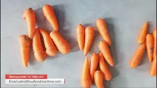 Industrial Carrot Weight Sorting Machine - Boost Your Packing Line Speed