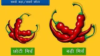 Mathematics Class 1 | Measurement | Hindi Video | Learn Maths