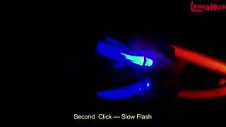 NIGHTTIME Dog Collar LED Lightup
