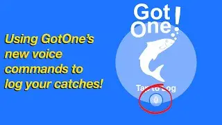 Logging Catches Using Voice Commands in GotOne