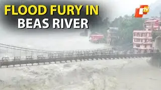 Flood Fury In Beas In Himachal, Scary Visuals Of Roaring River In Mandi Surface