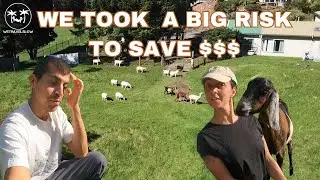 HOW WE TRAVEL AND LIVE RENT FREE - OUR FIRST EXPERIENCE LIVING ON A FARM