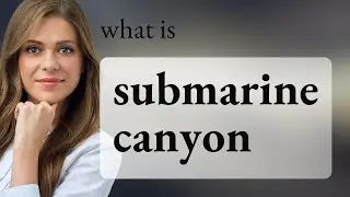 Exploring the Depths: Understanding Submarine Canyons