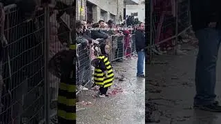 How climate change affect bees.  #memes #funny