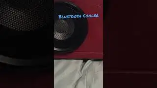 Bluetooth Cooler