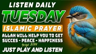 Powerful Islamic Prayer &ndash; Beautiful Daily Dua to Attract Blessings & Solve All Problems | INSHAALLAH
