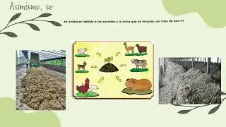 PA01 Crianza de cuyes aspecto etico socioambientales JBCG