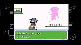 05 // Fifth Gym Leader: Flannery