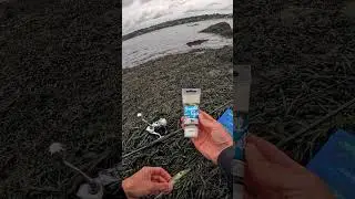 ✨ Un peu d'attractant sur vos leurres durs, &ccedil;a peut tout changer !