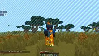 MC4U.PL/craftcore.pl/onlypvp.pl