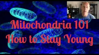 Mitochondria 101 - How to Stay Young & How To Get More Energy