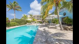 Discover Dolphin Suites Cura&ccedil;ao: A 100% Accessible Hotel Just 2 Minutes from Mambo Beach!