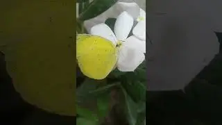 Review life of nature 💚
