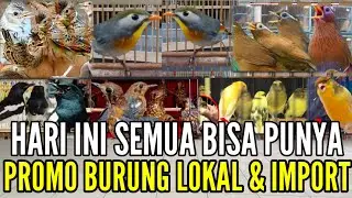 🔥 PART 2 !! SEMUA BISA PUNYA KITA PROMOKAN LAGI BOSKUH FULL STOK 0838-7553-6945