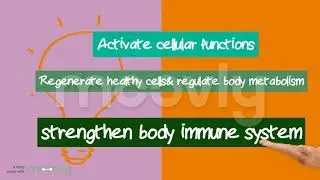 BENEFITS OF ENERTRI