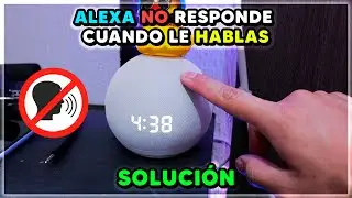 My Alexa or Echo Dot isn't listening and isn't responding when I speak to it. Quick Fix #1