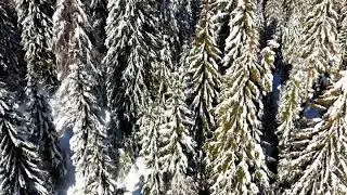 Neve in Val del Biois