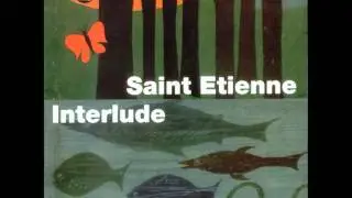 Saint Etienne - Red setter