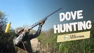Top-Notch Dove Hunting with C&C Outfitters in Argentina!