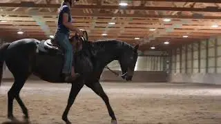 Derby western