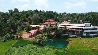 Cheemeni | Mundya | Paddy fields