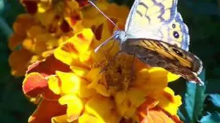 Romantic song Sorry by Boris Potskov