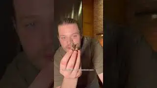 Стейк с грибным соусом🥩