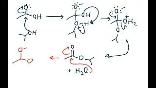 Esterification & Saponification