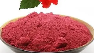 how to DIY  your organic homemade hibiscus powder for hair growth conditioner and oli