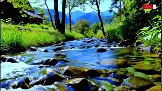 Mind & Body Spa Calm &mdash; Piano & Sunlit River Sounds | 10 Hours