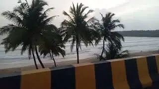 goa bitch #shorts #viral #ytshorts #secret