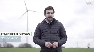 Why Germany's clean energy drive is endangering wildlife
