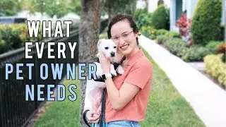 What EVERY Pet Owner Needs  | Healthy Paws Pet Insurance Review