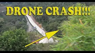 DRONE CRASH IN BAMBOO FOREST
