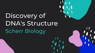 Discovery of DNA's Structure