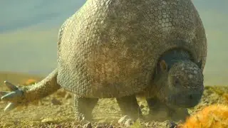 Prehistoric Planet Ice Age [2025] - Female Doedicurus Screen Time