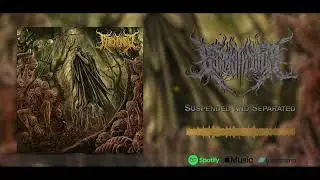 Rotten Tongue - Suspended and Separated (Official Visualizer)
