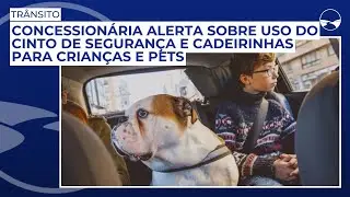 Concession&aacute;ria alerta sobre uso do cinto de seguran&ccedil;a e cadeirinhas para crian&ccedil;as e pets