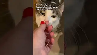 Просто ей нужен дом и забота
