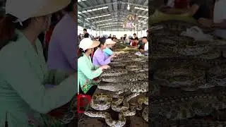 Busy Day in the Traditional Reptile Market@muhammadarif-ai