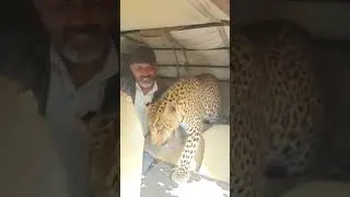 Panday Sir Fun Mood #shortvideo #funny #trending