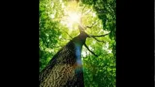 SONG N&deg;28  TRAVEL By Michael FRAYSSE Pianiste Compositeur SACEM Music Composition Piano Music
