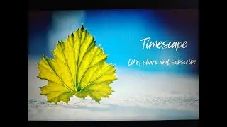 TIMESCAPE Lo-Fi , relaxing , chill beats .Meditative Live Stream