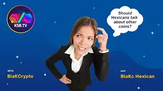 What's with all the fuss?!  Maxi vs Poly Holders  #HEX #XEN