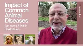 Impact of Common Animal Diseases | Economic & Public Health Risks