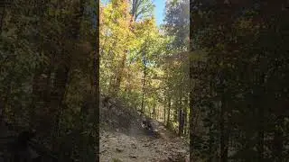 MTB crash🤣 (funny) #freeridemtb #mountainbiking #mountainbike #trending #mtb #mtbcrashes#lol